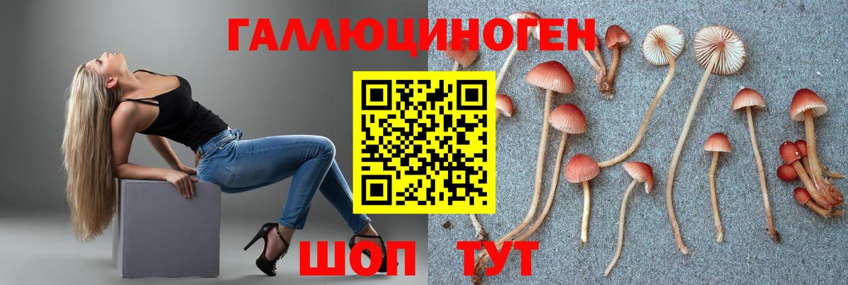 Галлюциногенные грибы прущие грибы Гусь-Хрустальный